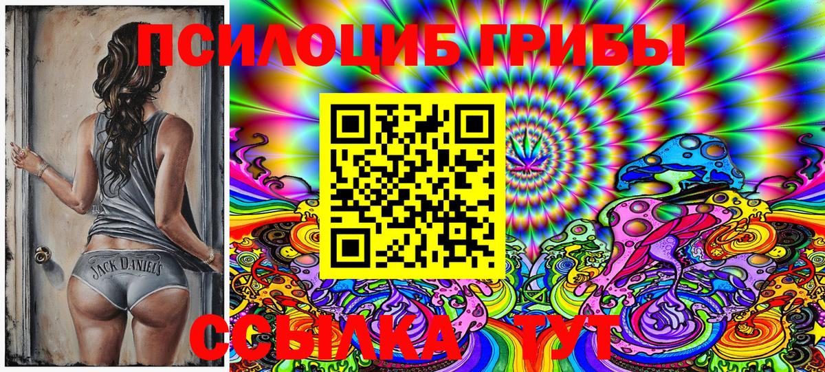 Псилоцибиновые грибы Magic Shrooms  даркнет сайт  Амурск  Вход с VPN  Галлюциногенные грибы прущие грибы 